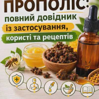 Прополіс: повний довідник із застосування, користі та рецептів