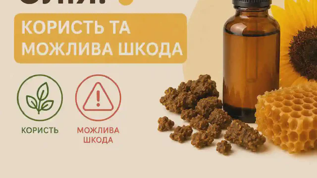 Прополісна олія: Користь та можлива шкода 🌻