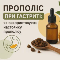 Прополіс при гастриті