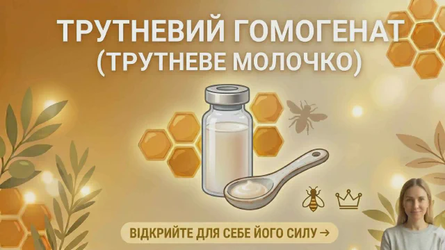 Трутневий гомогенат (молочко): користь, як приймати та зберігати