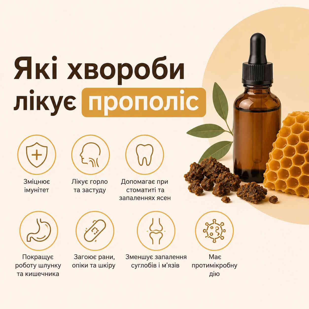 Які хвороби лікує прополіс ⚕️