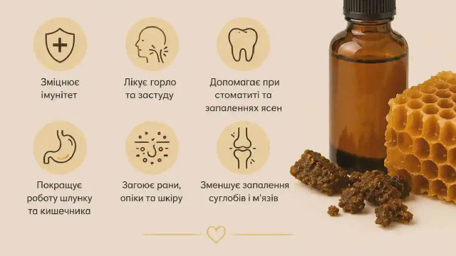 Прополіс що лікує 🐝
