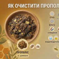 Як очистити прополіс від домішок: правда та міфи від професійного пасічника